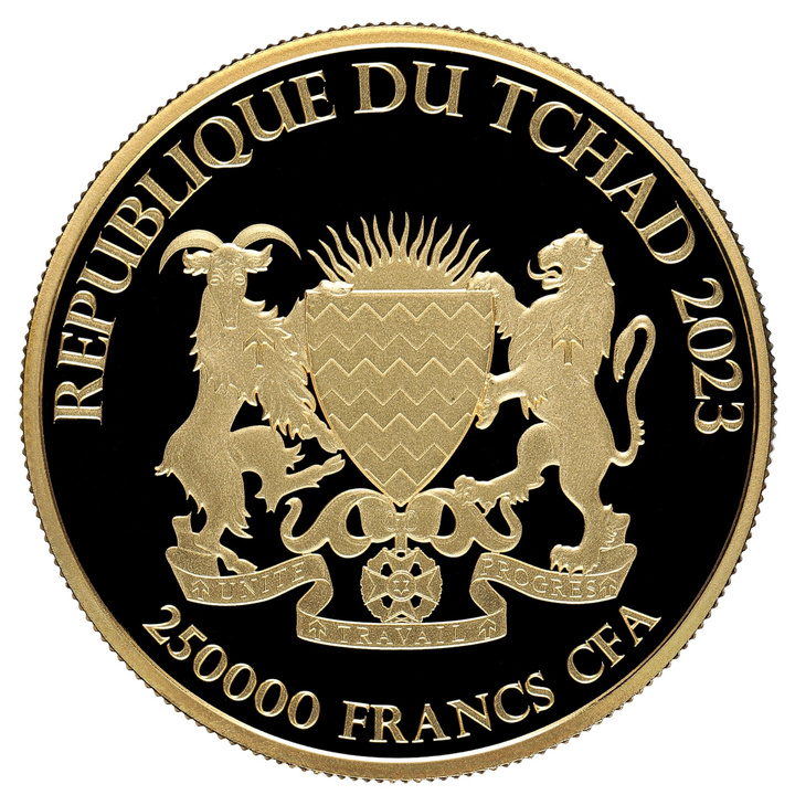 Czad: Bull & Bear 1/2 uncji Złota 2023