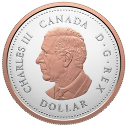 Set 7 monete Canada: 100º Anniversario di The Royal Canadian Legion 2026