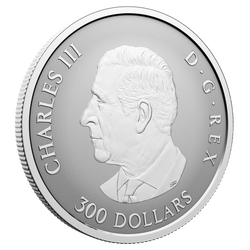 Platinmünze Kanada: Maple Leaf Forever 1 Unze Platin 2026 Reverse Proof
