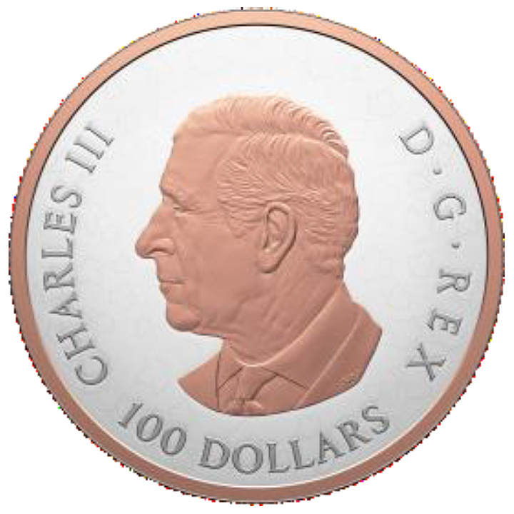 Kanadyjski Liść Klonowy “Gleaming Maple Leaf” pozłacany 10 uncji Srebra 2025 Proof