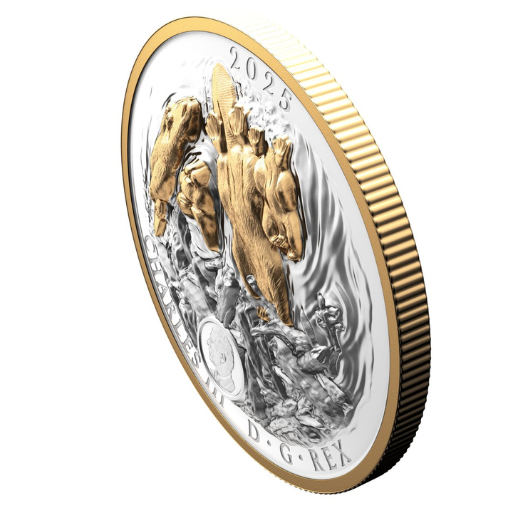 Canada: Canadian Symbol - The Beaver pozłacany $50 Srebro 2025 Proof High Relief