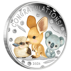 Nouveau-né coloré 1/2 once Argent 2026 Proof