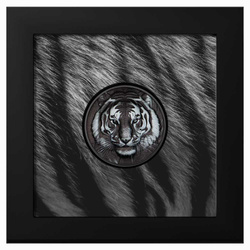 Isole Cook: Black and White - Tigre 1 oncia d’argento 2025 Obsidian Black Proof