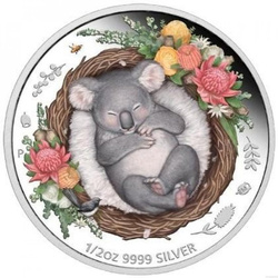 Dreaming Down Under: Śpiąca Koala kolorowana 1/2 uncji Srebra 2021 Proof