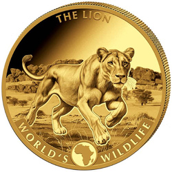 Kongo: World’s Wildlife – Der Löwe 2025 Goldmünzset in Proof