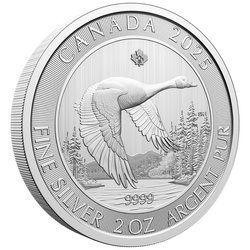 Canada : Oie 2 onces d'argent 2025