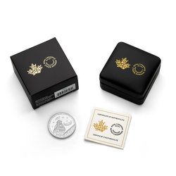 Srebrna Moneta 150th Anniversary of the Royal Military College of Canada 1 uncja Srebra 2026 Proof