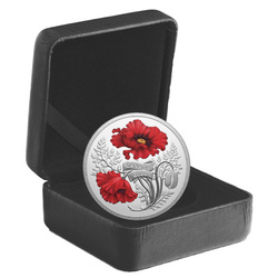 Canada: Remembrance Day kolorowany $20 Srebro 2024 Proof