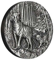 Lunar III: Rok tygra 2 unce stříbra 2022 Antiqued Coin
