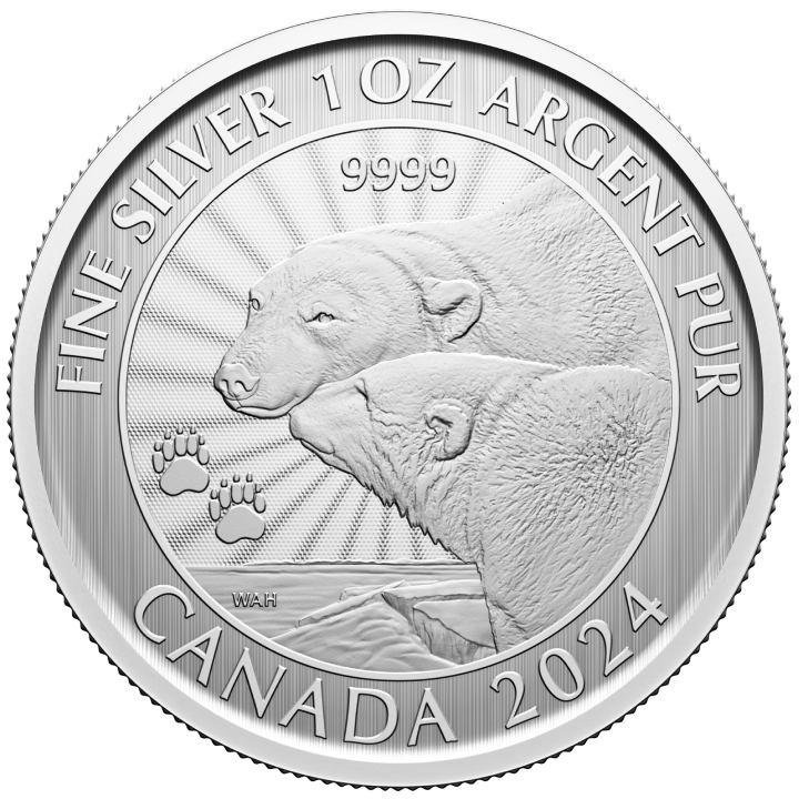 Canada: The Majestic Polar Bear 1 oz Silver 2024 Coin (in the card)