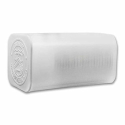 American Eagle 1 oz Platinum 2022