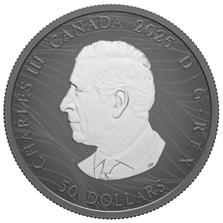 Ensemble Canada : Moon Phases 8 pièces en argent puzzle 2025 Black Rhodium Reverse Proof