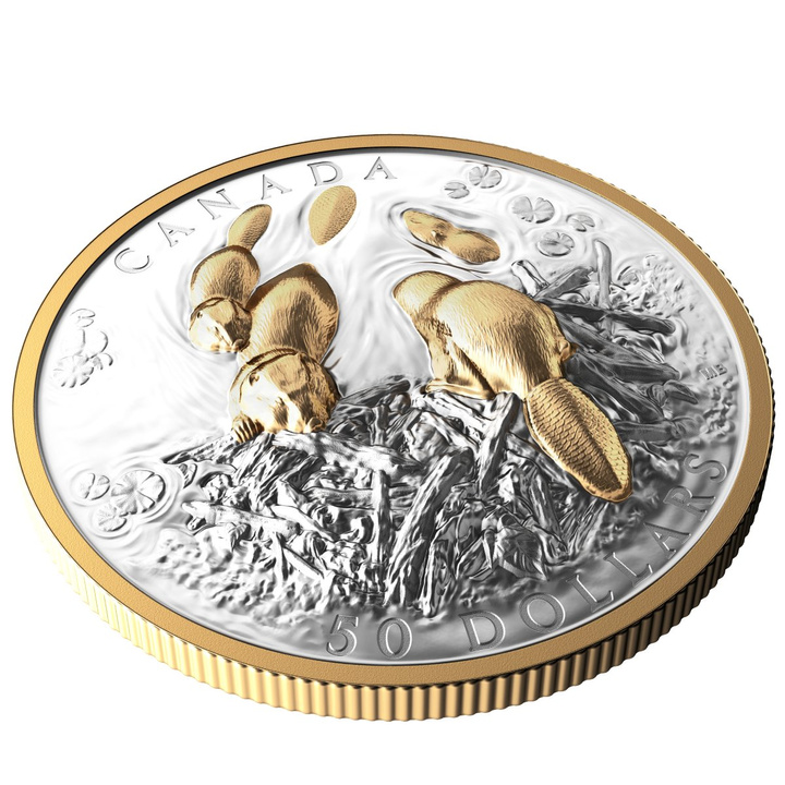 Kanada: Canadian Symbol – The Beaver vergoldet $50 Silber 2025 Proof High Relief