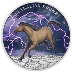 Cavallo selvaggio australiano - Brumby colorato 1 oncia d'argento 2024