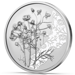 La camomille 10 euros Argent 2023