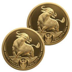 Set de Monede de Aur Big Five III: Bivol 2 x 1/4 Uncie de Aur 2026 Proof Doublecap