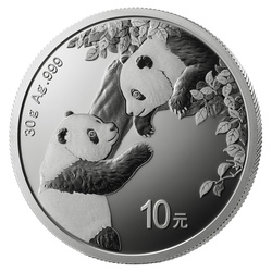 Chińska Panda 30 gramów Srebra 2023