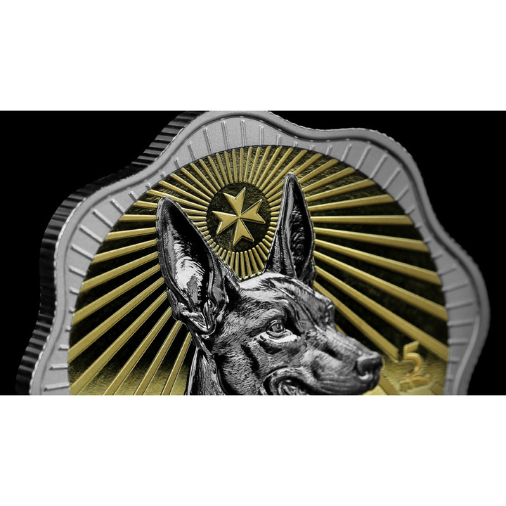 Gilded Silver Coin Maltese Pharaoh Hound 1 oz Silver 2026