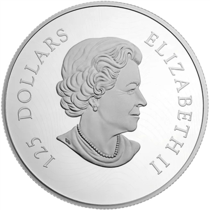 Silbermünze Growling Cougar 500 g Silber 2015 Proof
