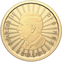 Canada : Le majestueux ours polaire 1/10 once d'or 2024 (sous carte)