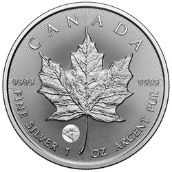 Feuille d'érable canadienne Treasured 1 once d'argent 2025 Polar Bear Privy Mark