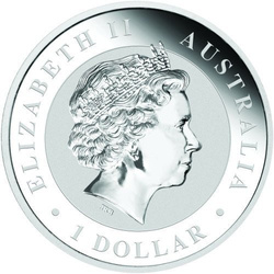 Koala 1 uncja Srebra 2017