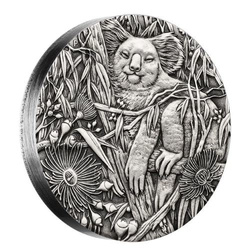 Koala 2 oz Silber 2017
