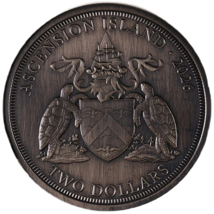 Stříbrná mince Rogue Bison 2 unce stříbra 2026 Ultra High Relief Antiqued