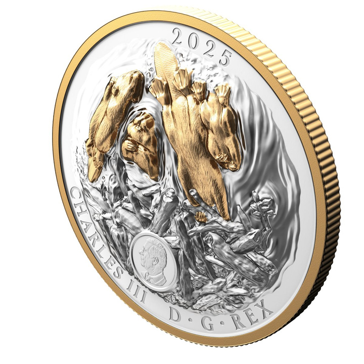 Canadá: Símbolo Canadiense – El Castor chapado en oro $50 Plata 2025 Proof High Relief