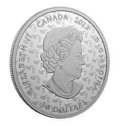Canada : Le chevalier rouge coloré 2 onces d'argent 2022 Proof