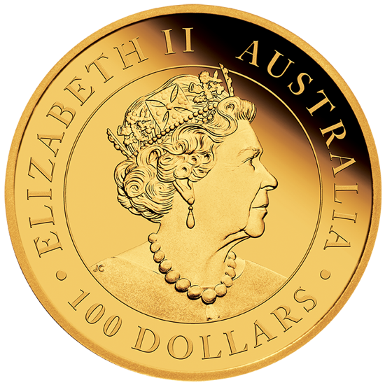 Australijski dziki koń - Brumby 1 uncja Złota 2021 Proof