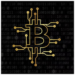 Niue: Bitcoin 1 oz Silver 2025 Gilded Coin