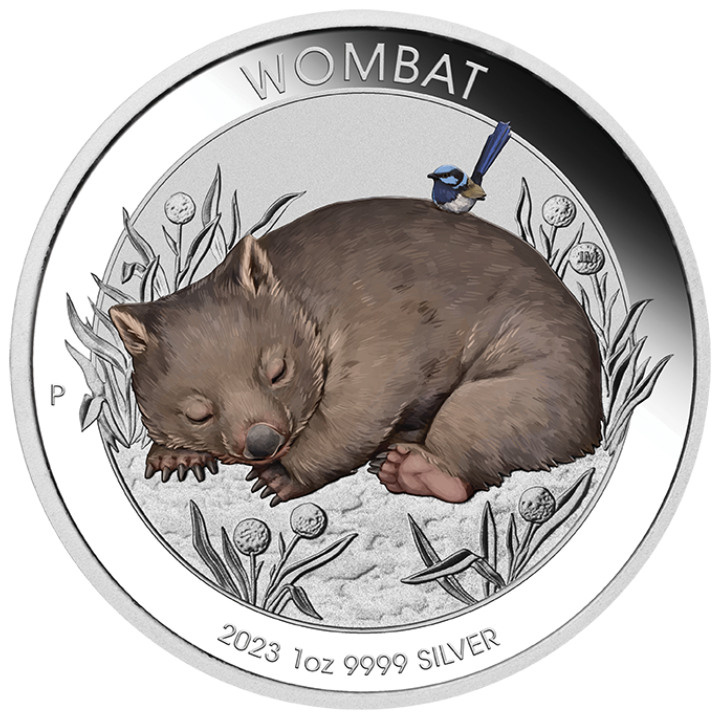 Wombat australiano coloreado 1 oz Plata 2023
