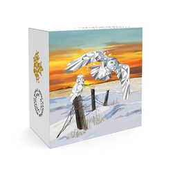 Fauna Geométrica: Búho de las Nieves $20 2018