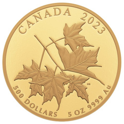 Canadá: Amada Hoja de Arce 5 oz Oro 2023 Proof