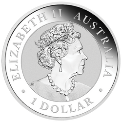 Australijski dziki koń - Brumby 1 uncja Srebra 2021