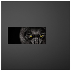 Palau: Hunters by Night - Ocelot kolorowany 1000 gramów Srebra 2025 Obsidian Black 