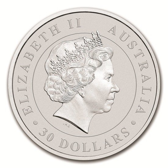 Koala 1000 grammi d'argento 2018