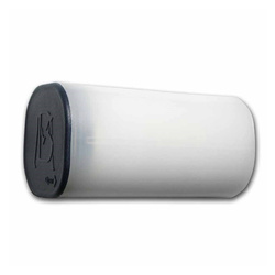 Mexican Libertad 1 oz Silber 2024