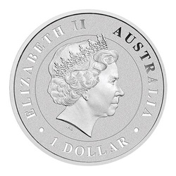 Funnel-Web Spider 1 oz Silber 2015