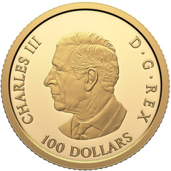 Kanada: 80ᵗʰ Jahrestag des Endes des Zweiten Weltkriegs in Europa 1/4 oz Gold 2025 Proof