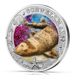 Swell Shark coloreado 3 Euros Cobre 2023