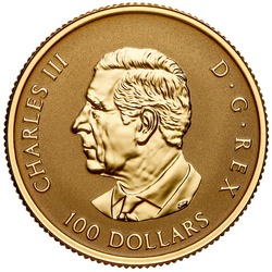 Kanadyjski Liść Klonowy “Gleaming Maple Leaf” $100 Złoto 2025 Reverse Proof