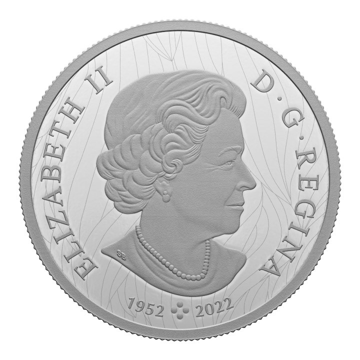 Kanada: Vantage Point – Bald Eagle 2 unce stříbra 2023 Proof