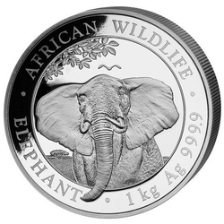African Wildlife : Éléphant de Somalie 1 000 grammes d'argent 2021