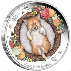 Dreaming Down Under: Dingo coloured  ½ oz Silber 2021 Proof