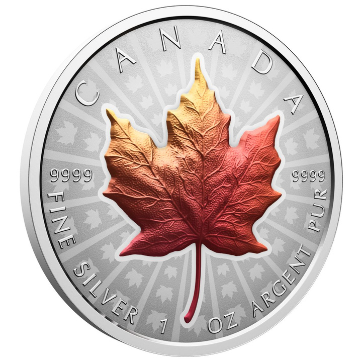 Stříbrná mince Silver Maple Leaf kolorovaná 1 unce stříbra 2026 Reverse Proof Ultra High Relief