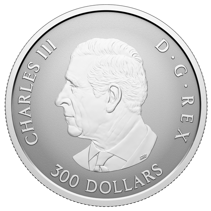 Platinmünze Kanada: Maple Leaf Forever 1 Unze Platin 2026 Reverse Proof
