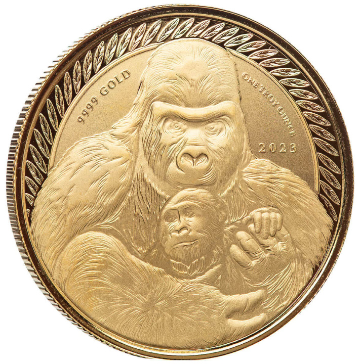 Congo: Gorilla dal dorso argentato 1 oncia d'oro 2023 Proof