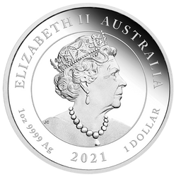 Quokka 1 uncja Srebra 2021 Kolorowany Proof